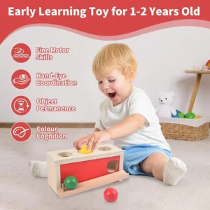 Ball Tracker Drop Push Toy for Baby Toddler